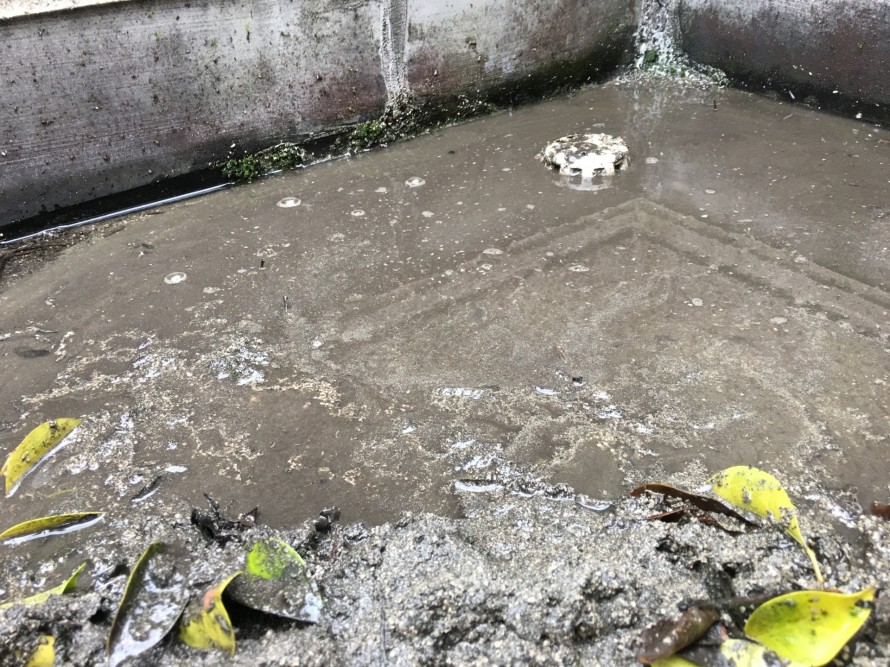 排水口が詰まって水が溜まったベランダ床面