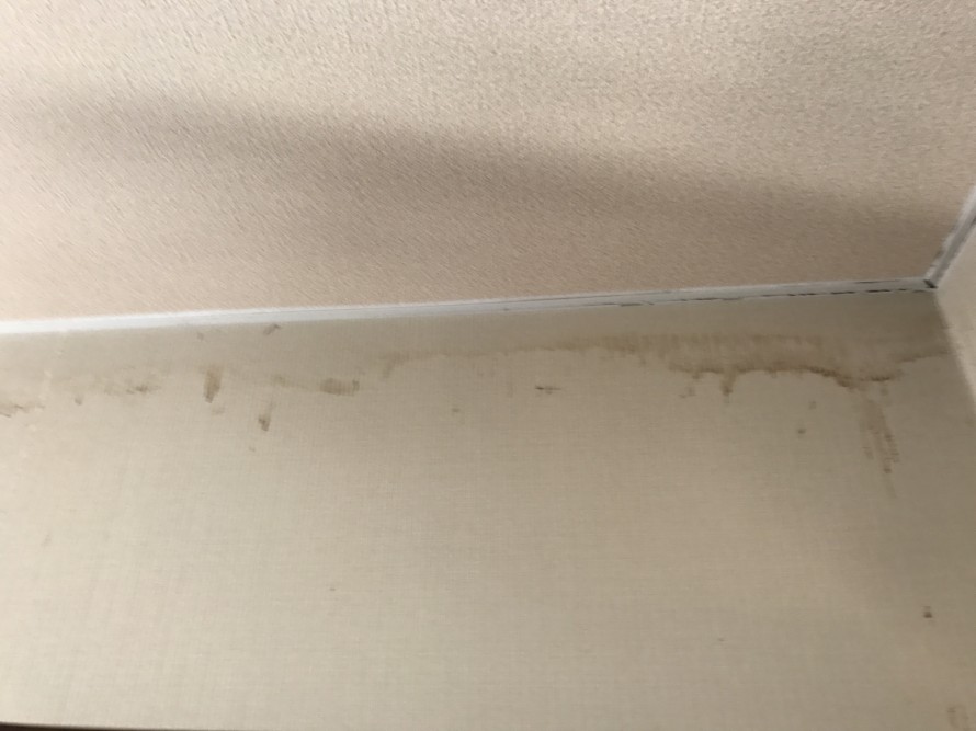 雨漏りによるシミが現われた壁